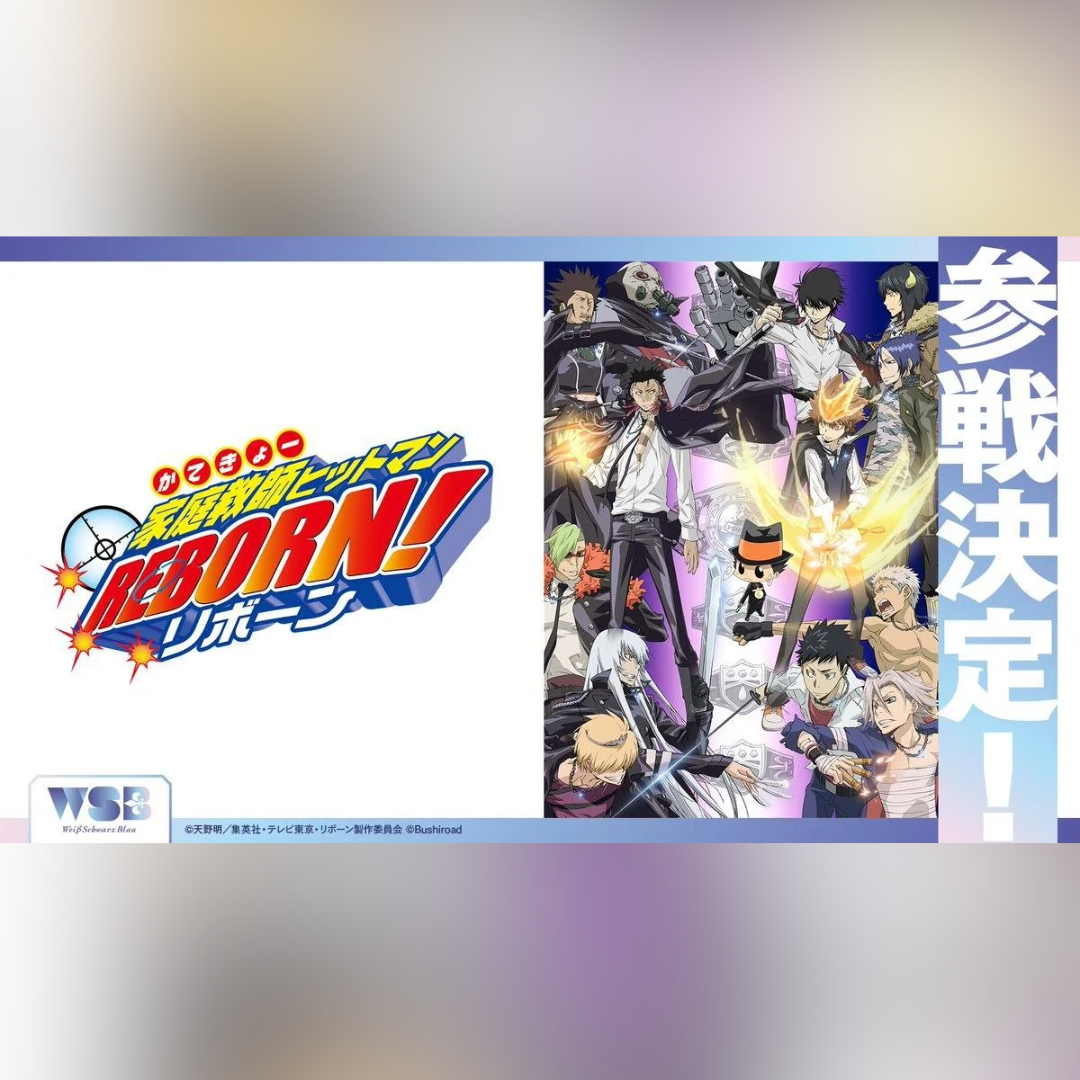 Weiss Blau Katekyo Hitman REBORN Booster Case